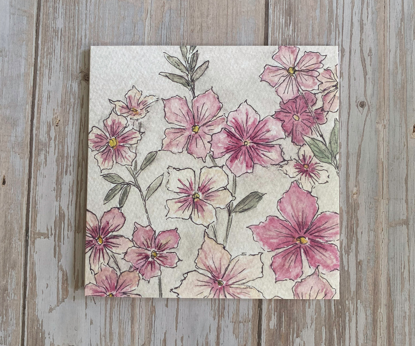 Phlox Greetings Card