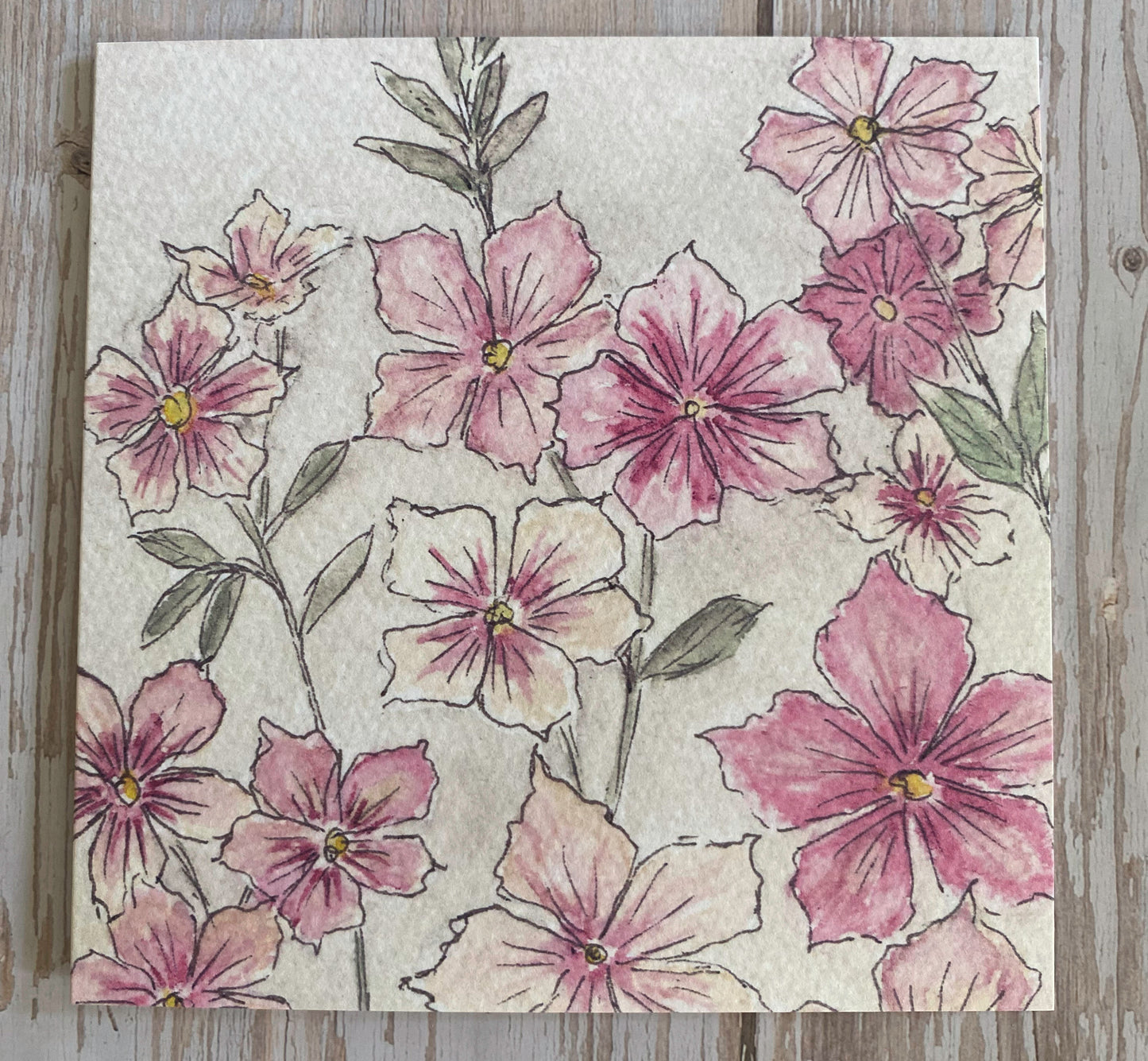 Phlox Greetings Card